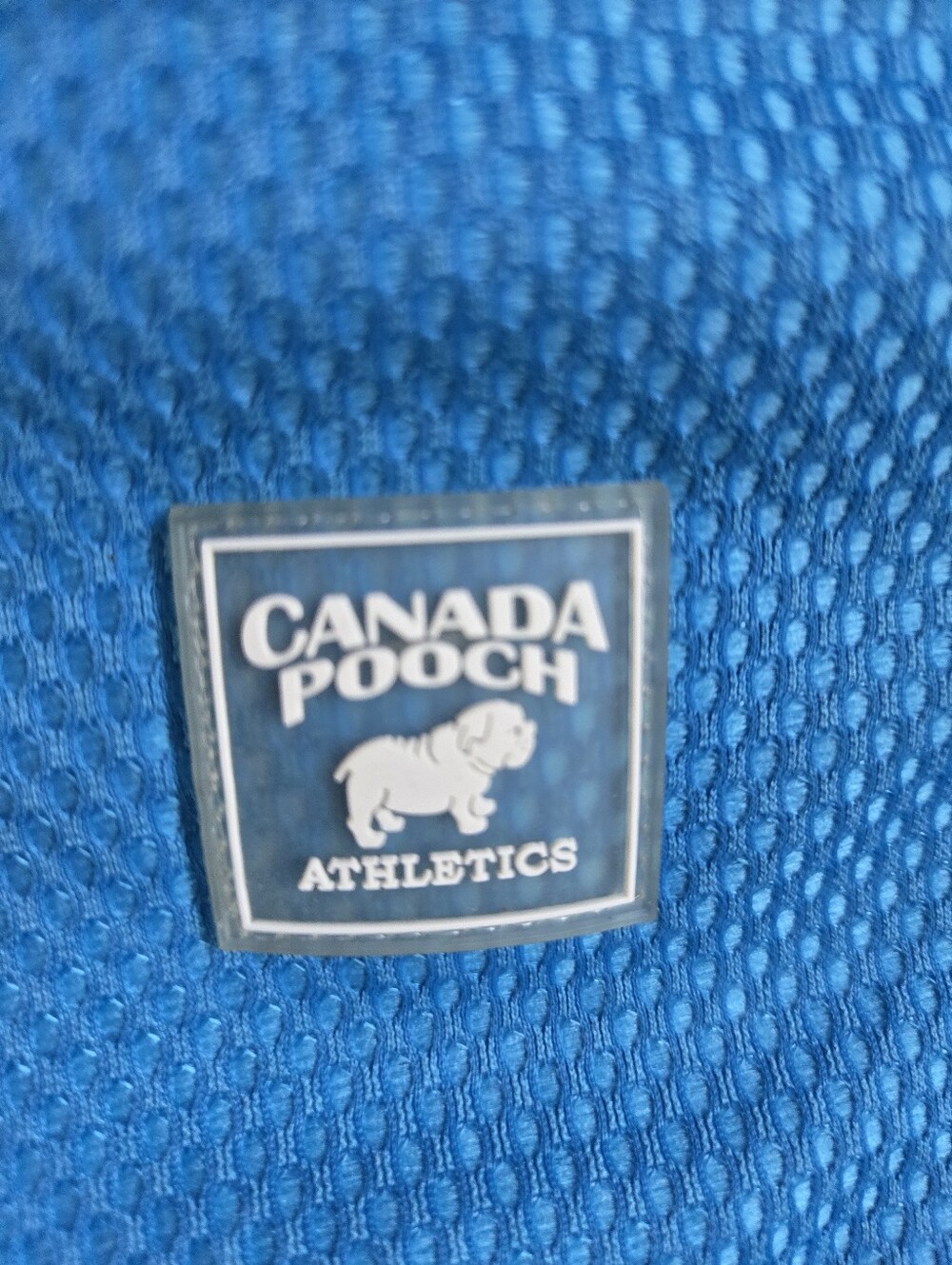 🎁 CANADA POOCH Dog cooling bandana - Picture 3 of 11